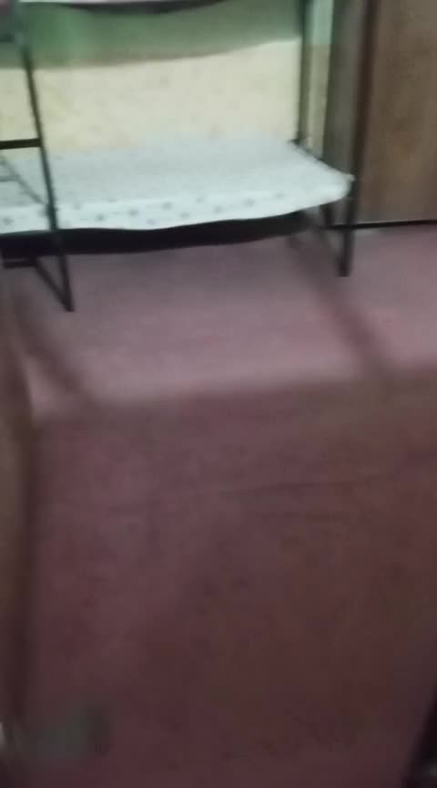 WhatsApp Video 2026-09-01 at 11