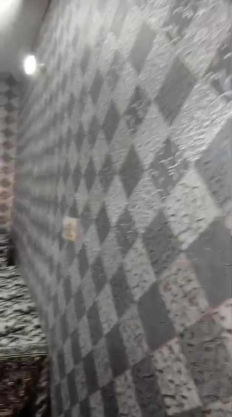 WhatsApp Video 2025-08-18 at 11