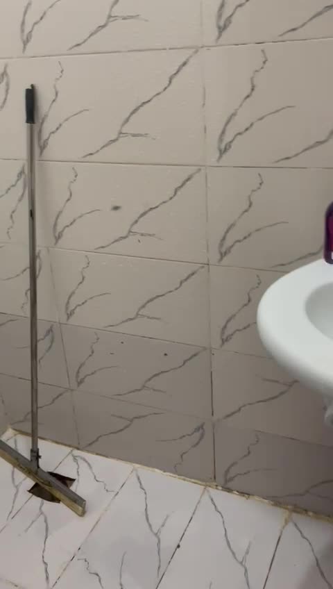 WhatsApp Video 2025-08-18 at 1