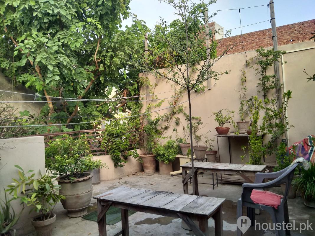 Tulip Girls Hostel Multan Girls Hostel in Peer Khursheed Colony, Multan with Mess - Photo 5