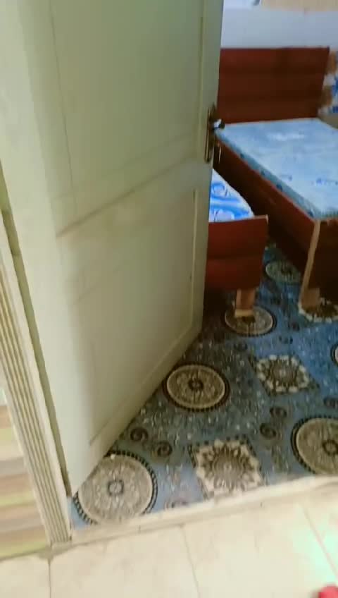 WhatsApp Video 2025-09-08 at 6