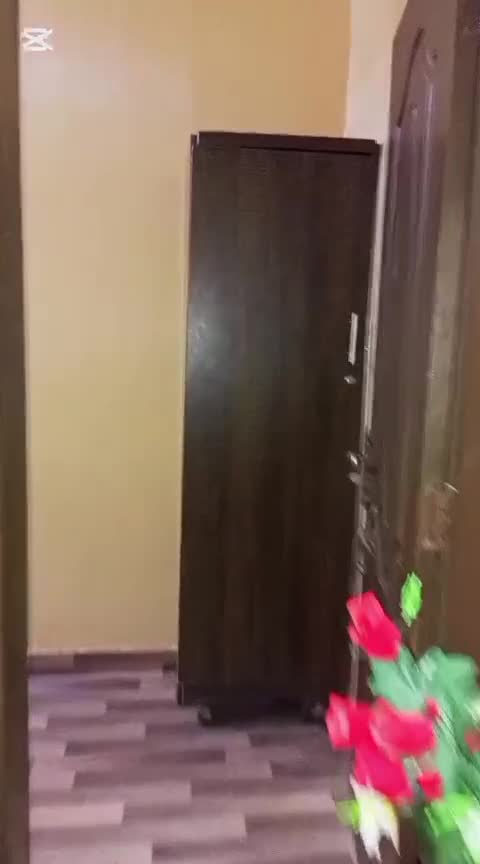 WhatsApp Video 2025-09-20 at 8