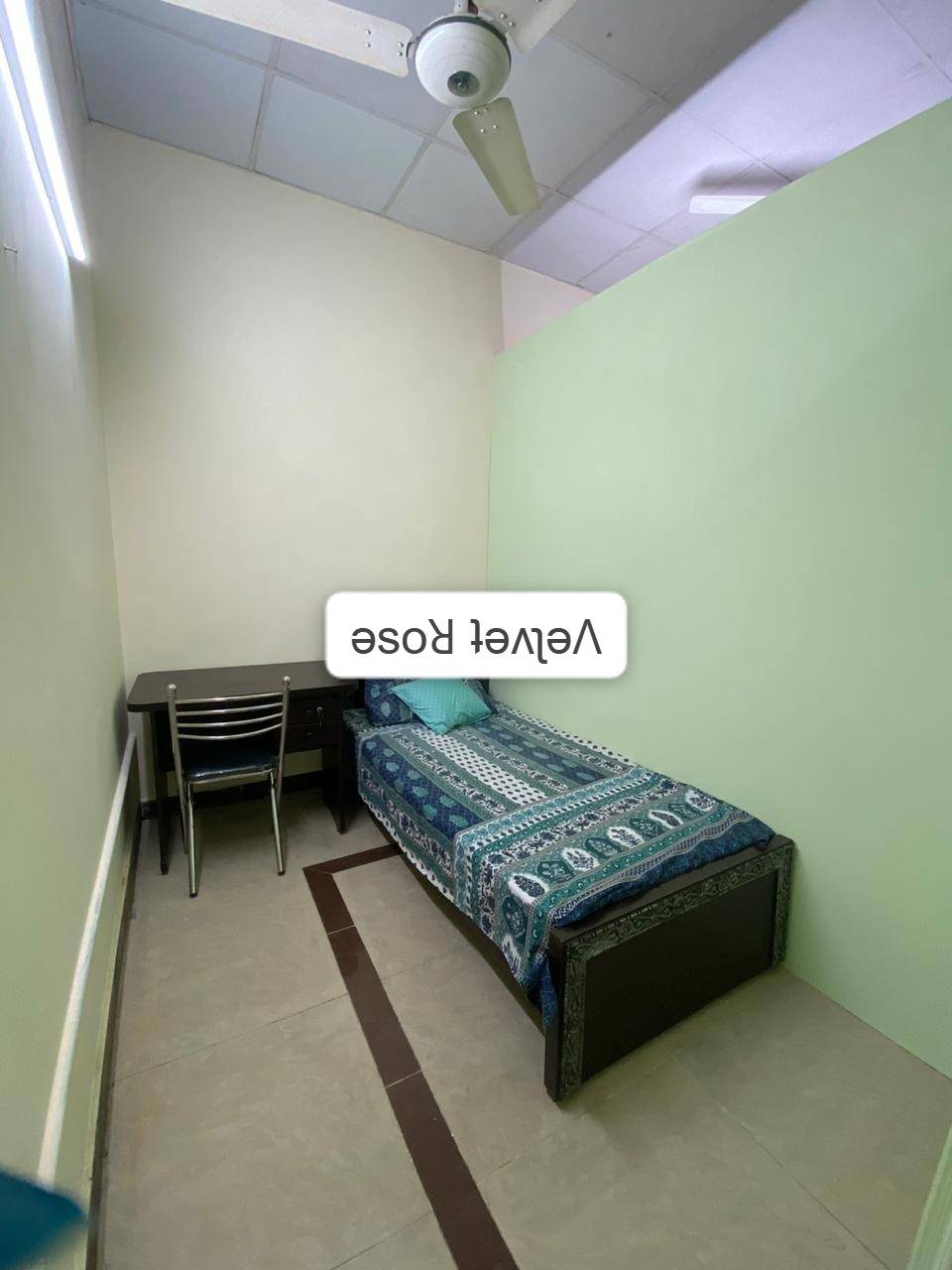 One Seater Room at 𝐓𝐇𝐄 𝐕𝐄𝐋𝐕𝐄𝐓 𝐑𝐎𝐒𝐄 𝐆𝐈𝐑𝐋𝐒 𝐇𝐎𝐒𝐓𝐄𝐋 — photo 6