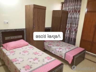 𝐓𝐇𝐄 𝐕𝐄𝐋𝐕𝐄𝐓 𝐑𝐎𝐒𝐄 𝐆𝐈𝐑𝐋𝐒 𝐇𝐎𝐒𝐓𝐄𝐋 Girls Hostel in Islamabad with Mess, WiFi from PKR 24,500