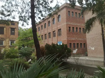 MAO College